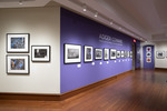 Installation image from the exhibition Adger Cowans: Sense and Sensibility by Fairfield University Art Museum