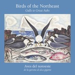 Birds of the Northeast: Gulls to Great Auks - Brochure by Fairfield University Art Museum