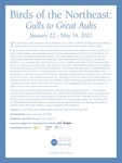 Birds of the Northeast: Gulls to Great Auks - Introductory Panels by Fairfield University Art Museum