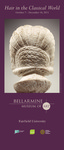 Hair in the Classical World Pull-Up Banner by Bellarmine Museum of Art