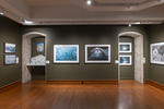 Installation image for exhibition Helen Glazer: Walking in Antarctica by Fairfield University Art Musem