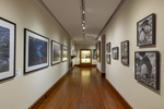 Installation image from the exhibition Helen Glazer: Walking in Antarctica by Fairfield University Art Musem