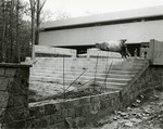 Construction of the Nyselius Library