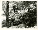 Japanese Garden looking north-northeast toward upper flat footbridge