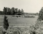 Crowd at Alumni Field during Commencement 1951