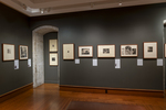Installation image of the exhibition Ink & Time: European Prints from the Wetmore Collection by Fairfield University Art Museum