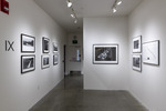 Installation image of the exhibition 13 Ways of Looking at Landscape: Larry Silver's CT Photographs by Fairfield University Art Museum