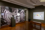 Installation Image of the exhibition "For Which It Stands…" by Fairfield Unversity Art Museum