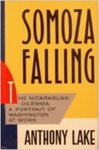 Somoza Falling by Anthony Lake