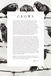Rick Shaefer:  Rendering Nature Vinyl Wall Panel Crows